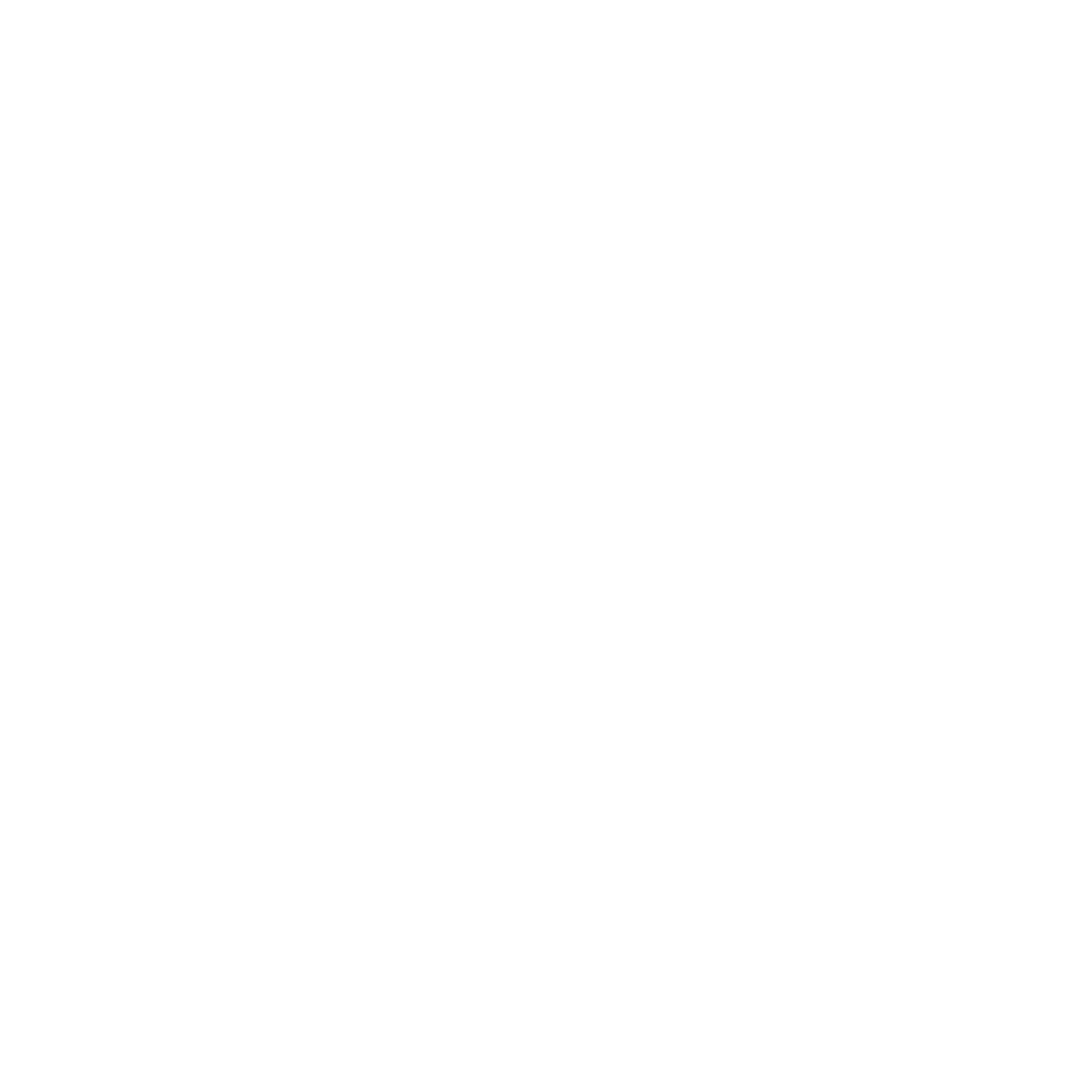 Insta icon